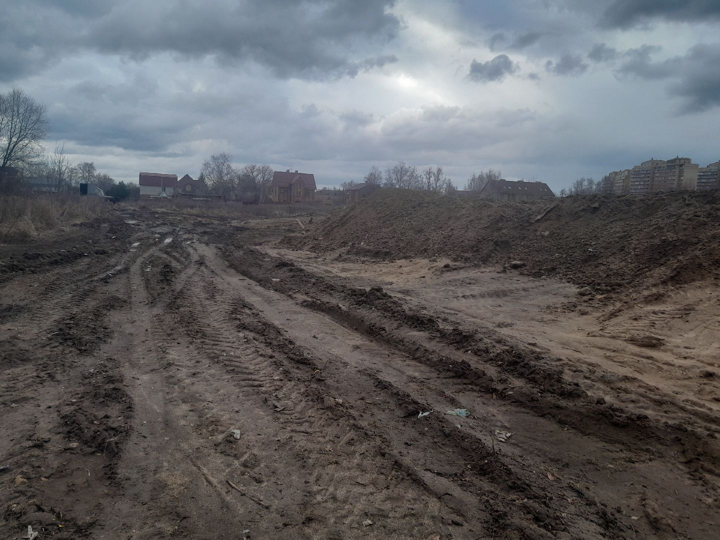 выгул домашних животных, поле, дороги, строительство,