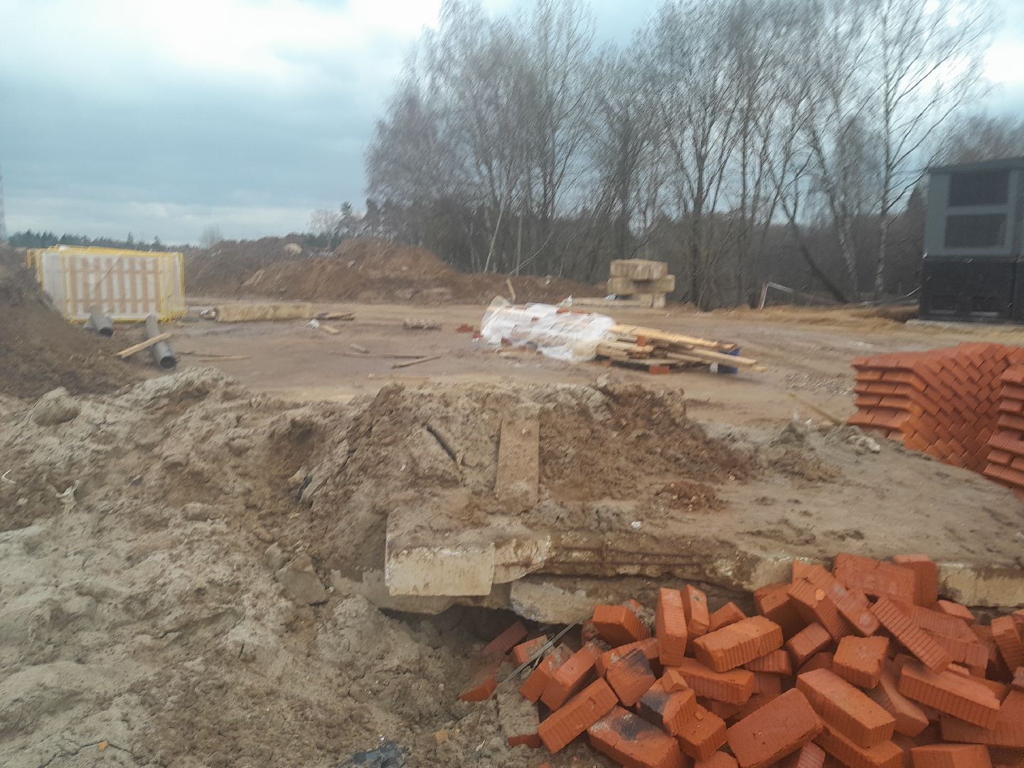 выгул домашних животных, поле, дороги, строительство,