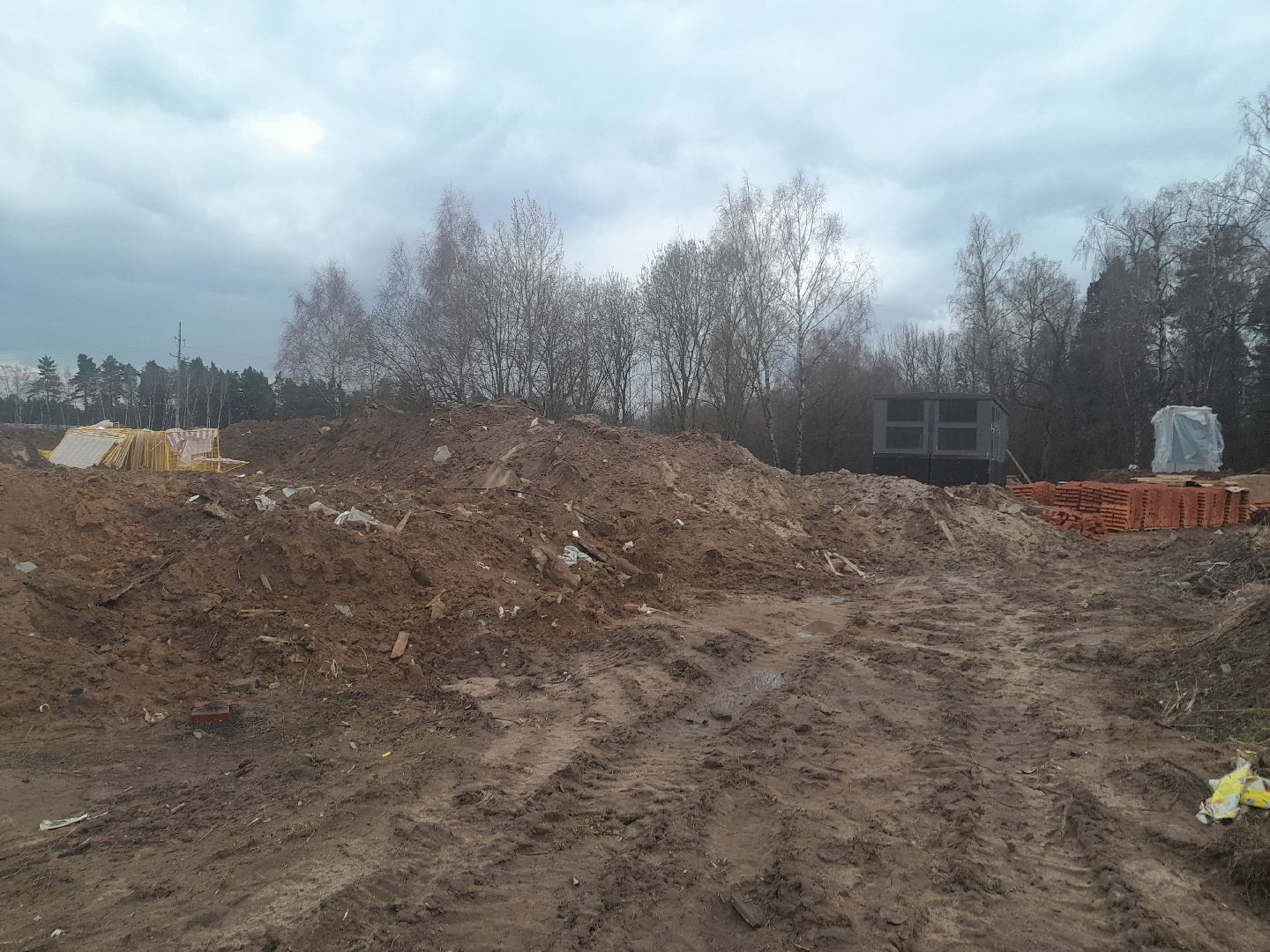 выгул домашних животных, поле, дороги, строительство,