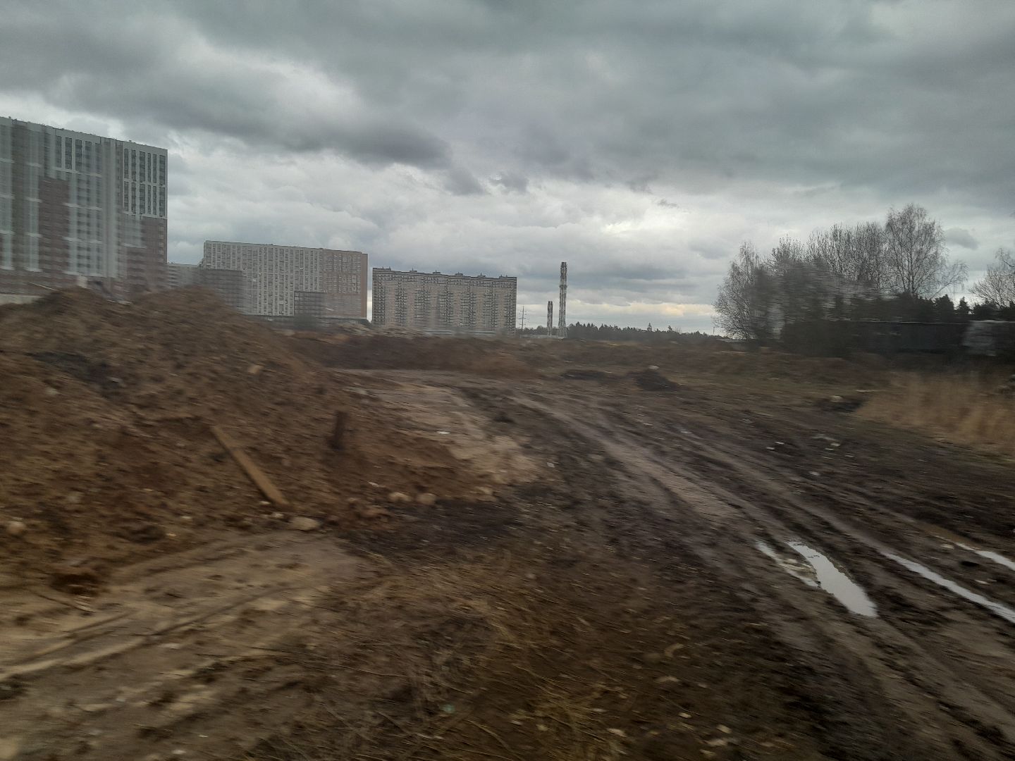 выгул домашних животных, поле, дороги, строительство,