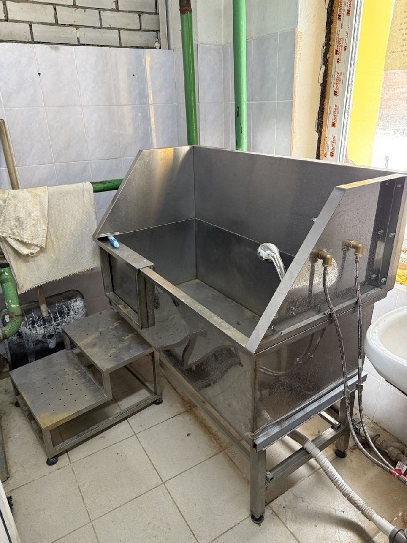 щенки, собаки-проводники, слепые,