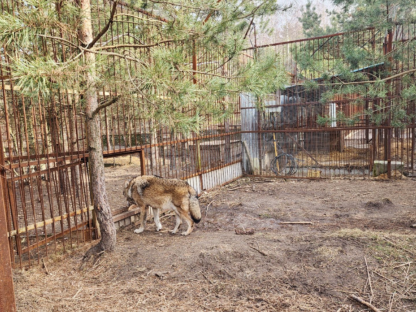приют, волонтеры, благотворительность,