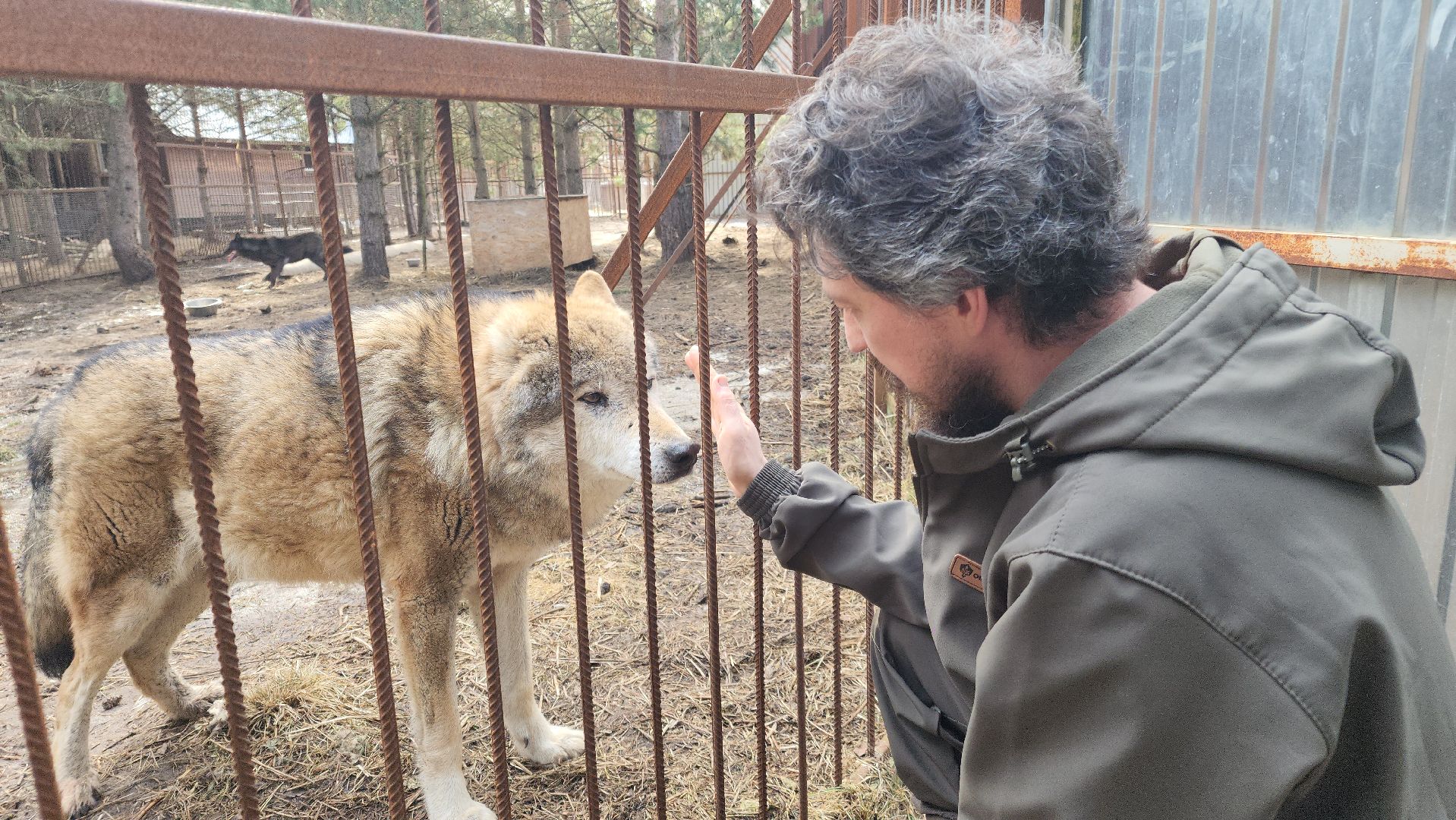 приют, волонтеры, благотворительность,