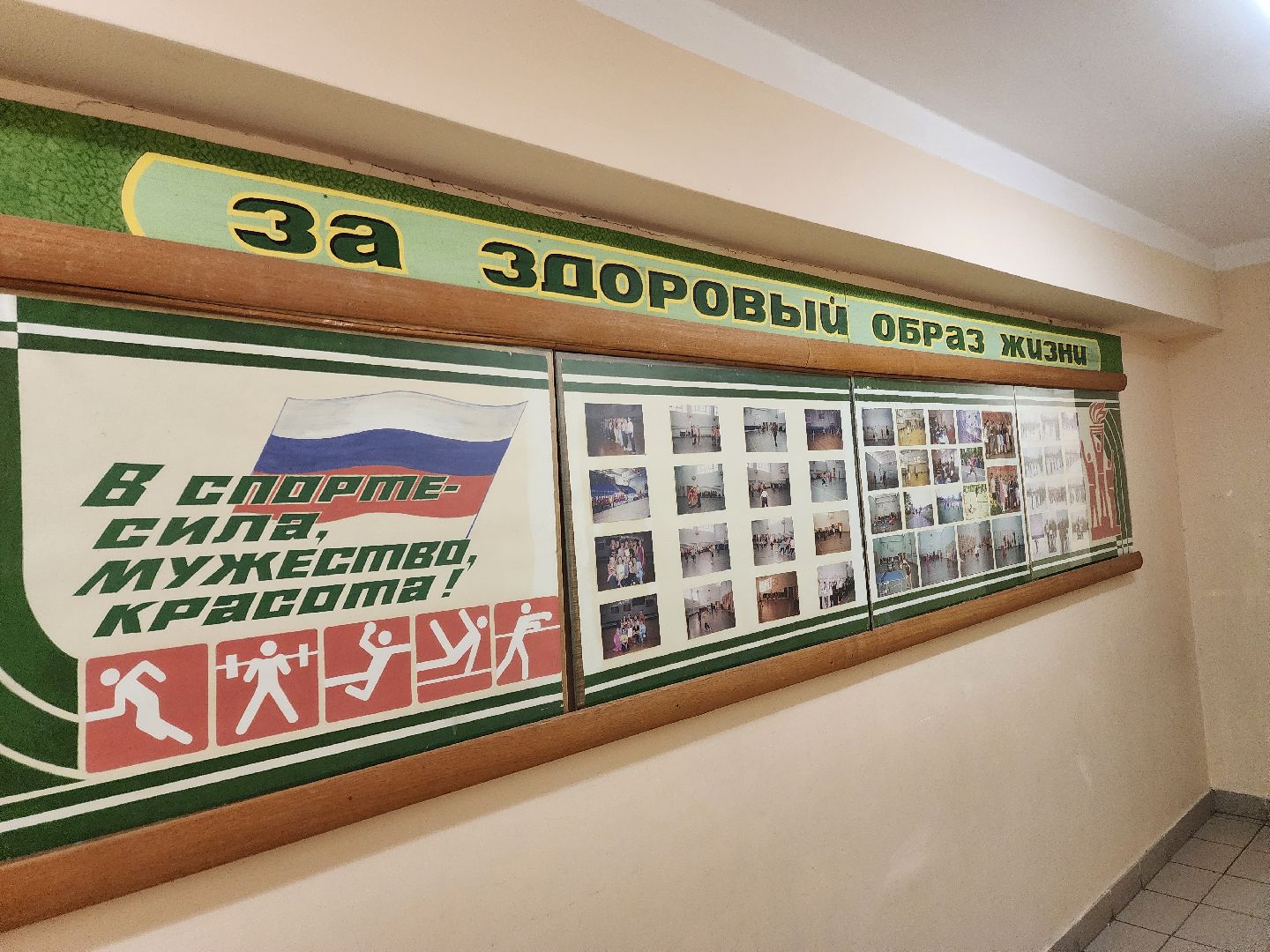 олимпиада, образование, призеры,