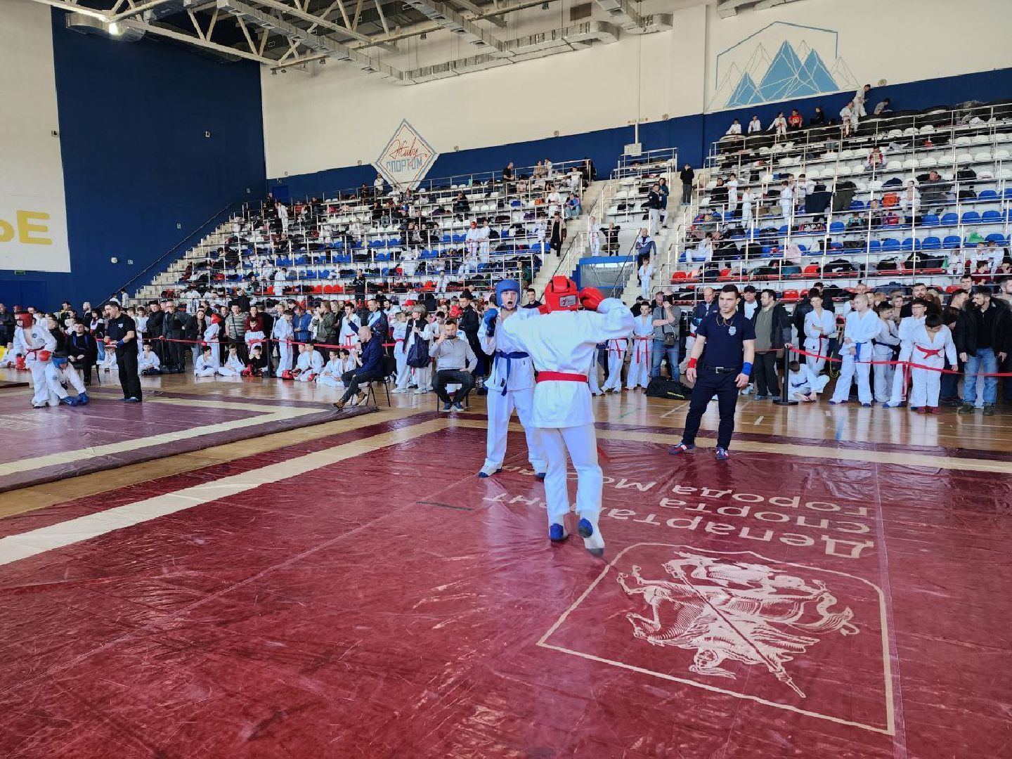 солнечногорск, спорт, рукопашный бой, победа, медали, будущий рукопашник,