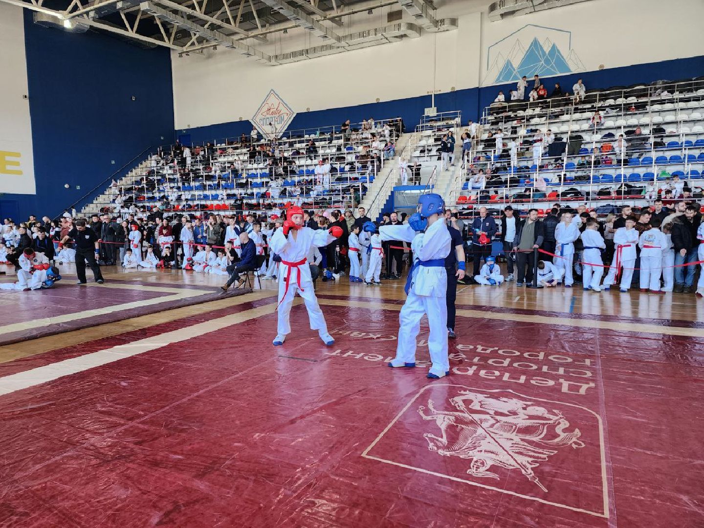 солнечногорск, спорт, рукопашный бой, победа, медали, будущий рукопашник,