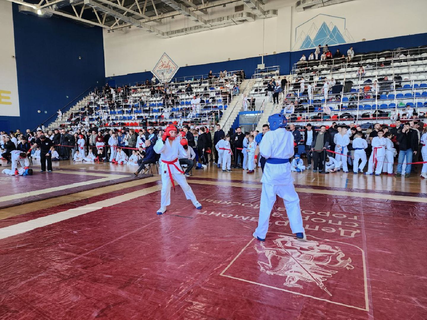 солнечногорск, спорт, рукопашный бой, победа, медали, будущий рукопашник,