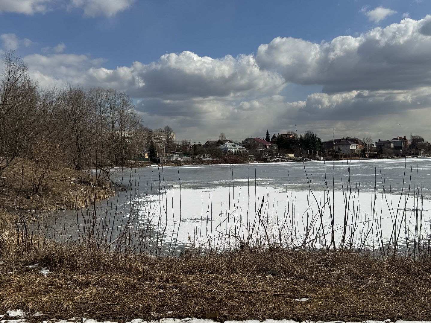 река вьюнка, балашиха, новый милет, экология,