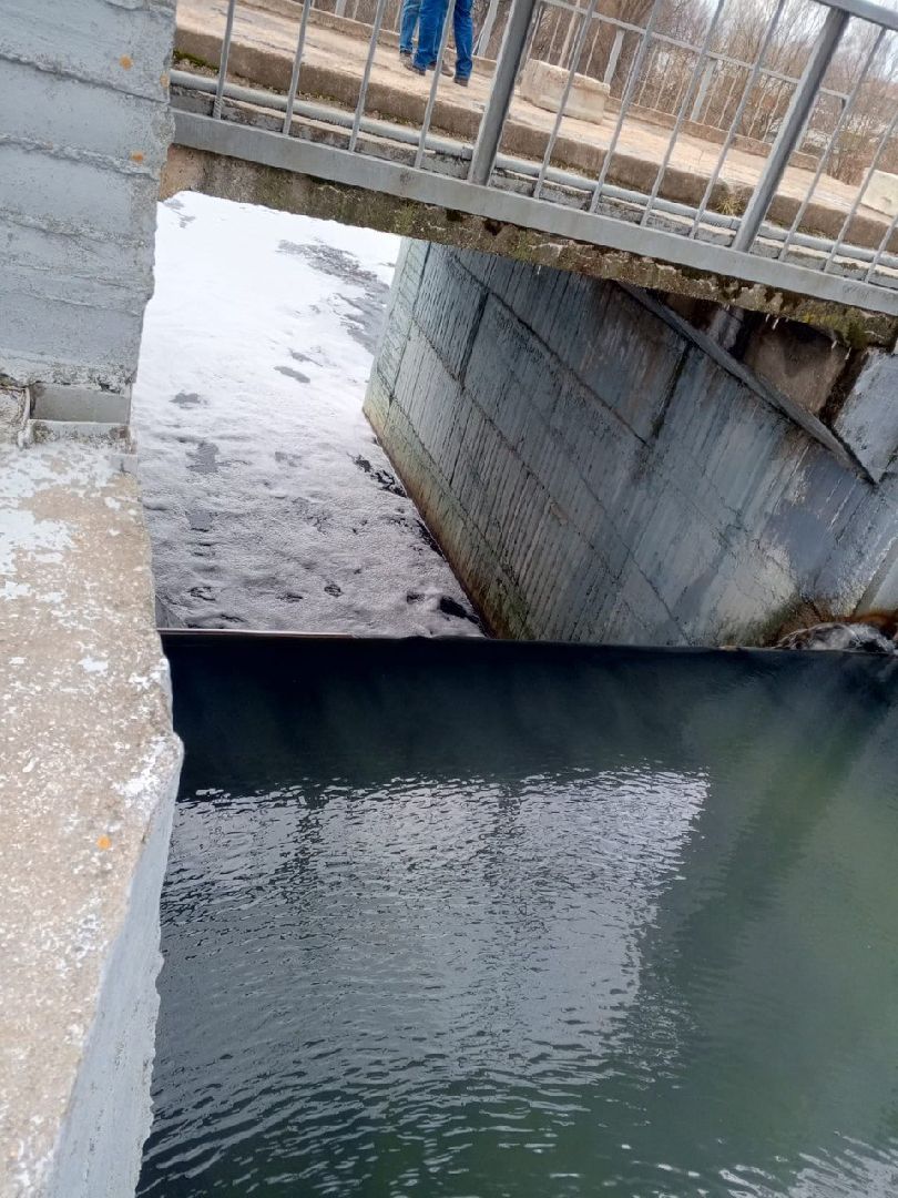 река вьюнка, балашиха, новый милет, экология,