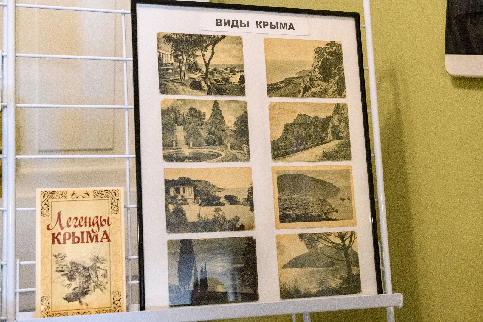 лыткарино, общество, музей, культура, крымская весна,