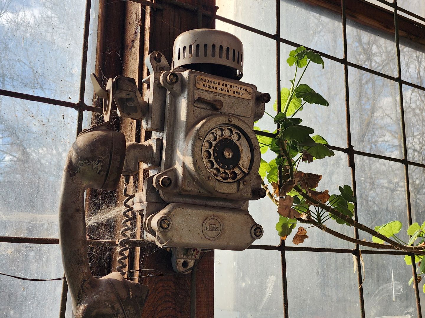 фрязино, теплосеть, котельная, ремонт котельной,