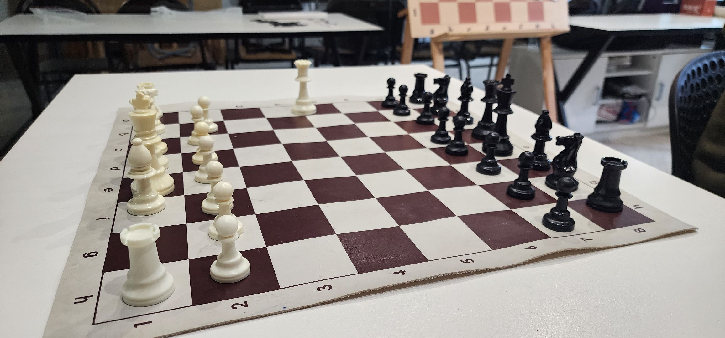 Химки, Шахматы, Спорт, Образование,