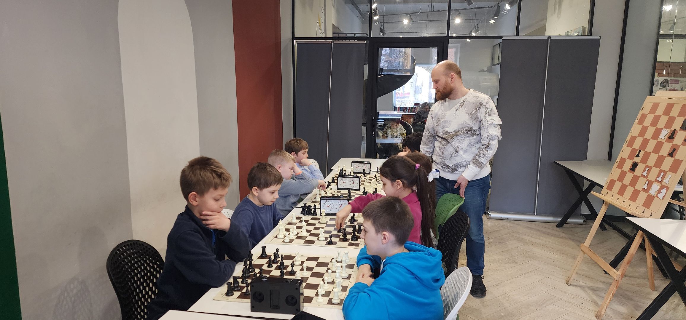 Химки, Шахматы, Спорт, Образование,