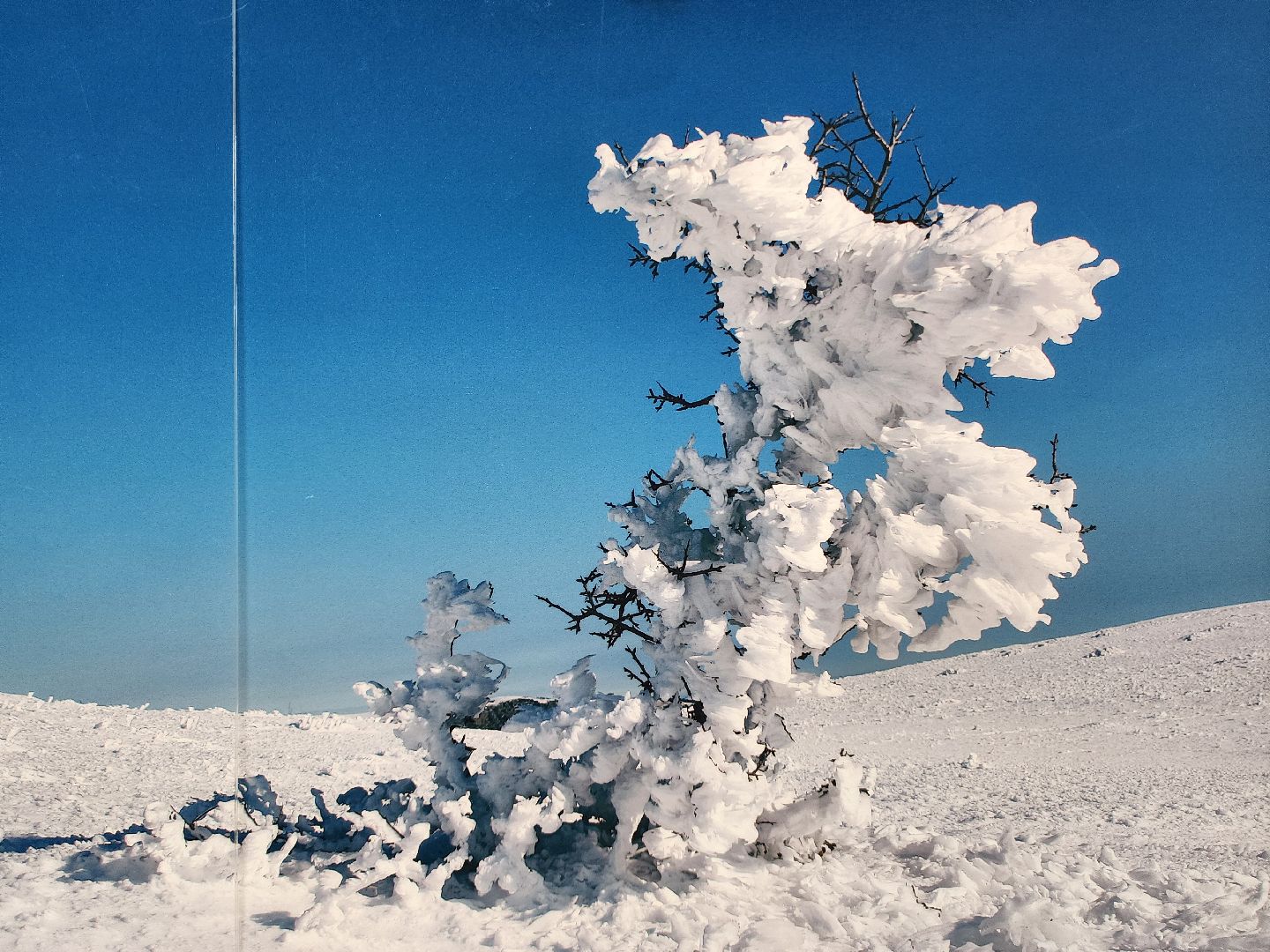 Крым, Природа, Фотовыставка, Шатура, Галина Карпова,