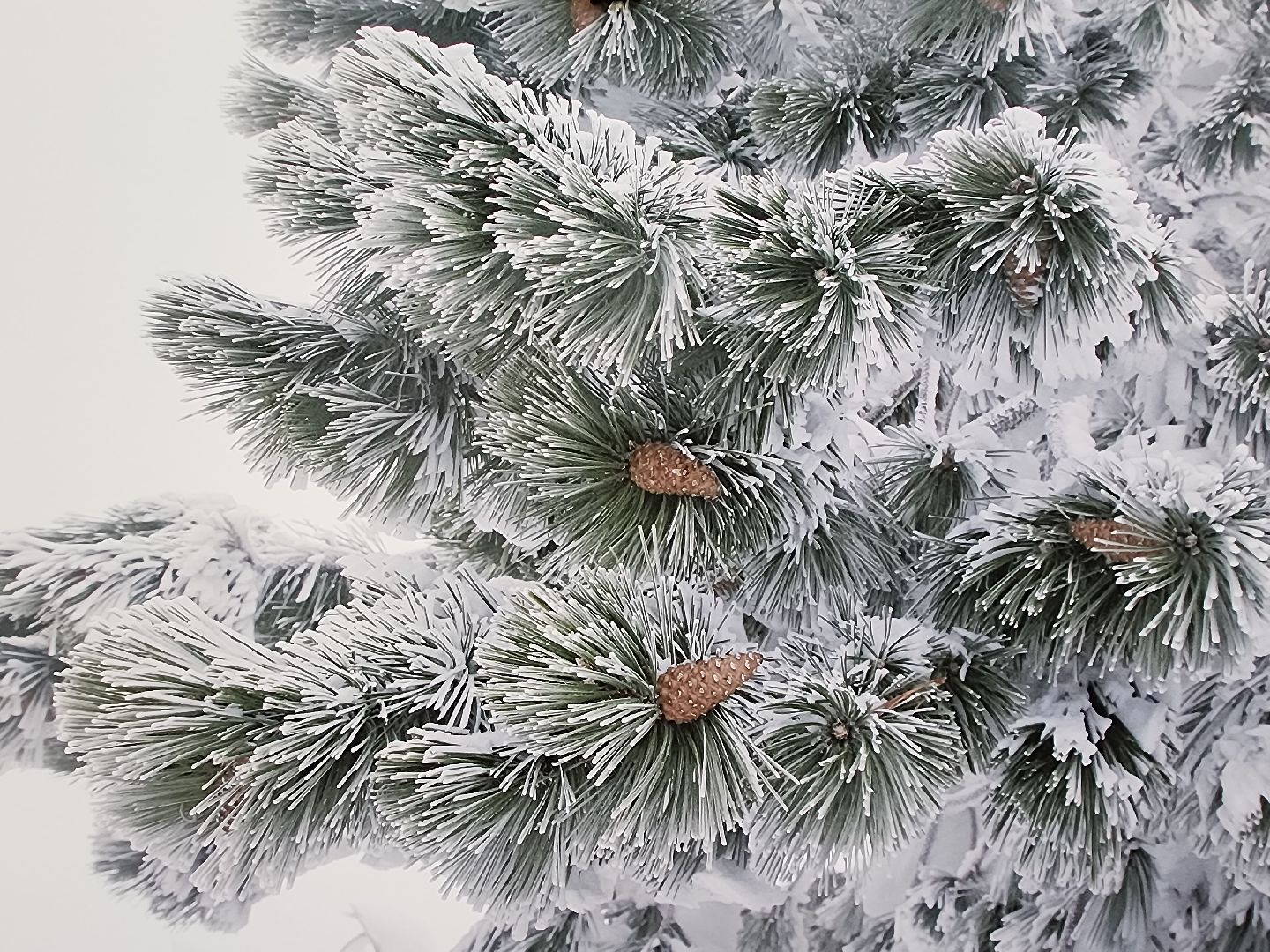 Крым, Природа, Фотовыставка, Шатура, Галина Карпова,