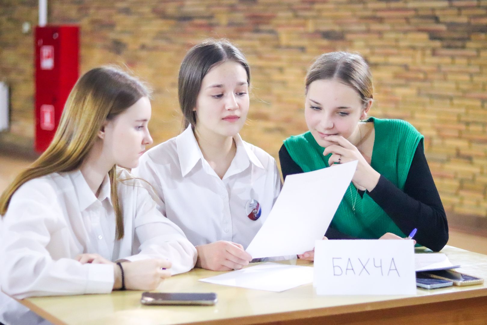 Клин, общество, образование, туристические игры, Крым,