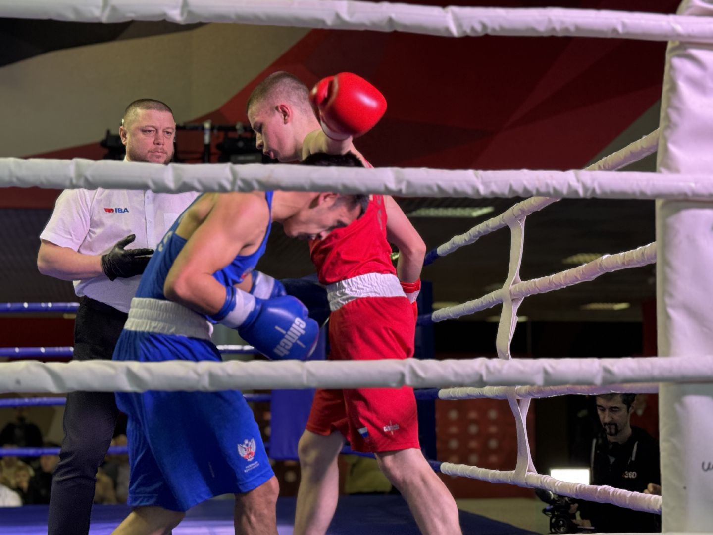 Балашиха, Бокс, Турнир по боксу, Спорт,