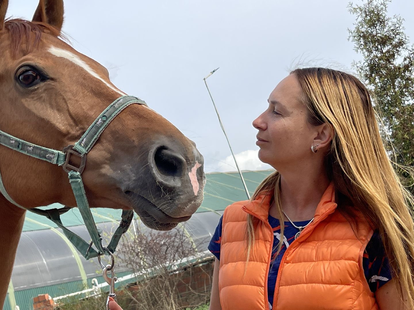 конный спорт, Одинцово, Кобяково, соревнования, конкур, Юникорн, Maxima,