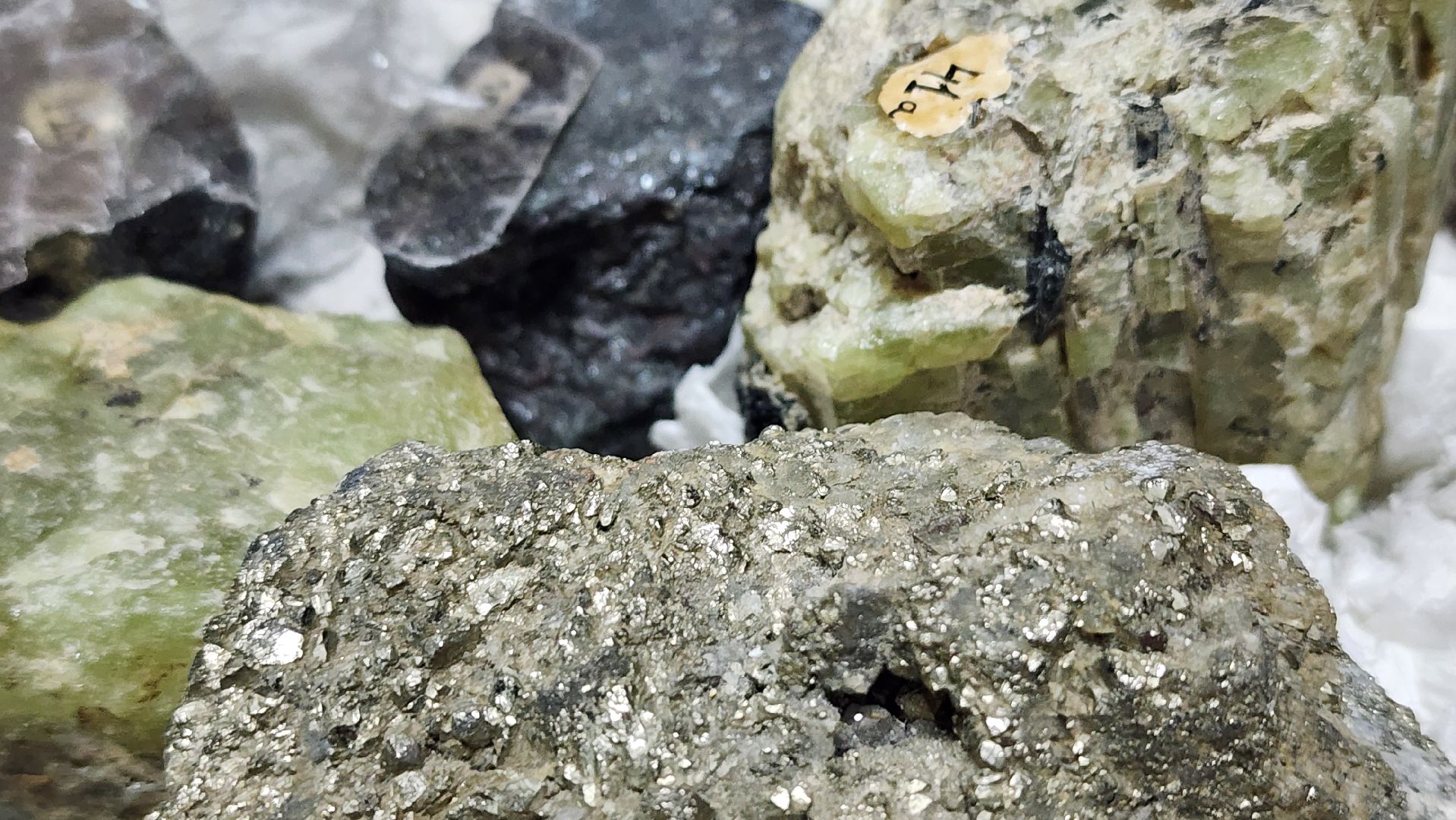 ярмарка вакансий, студенты, молодежная ярмарка вакансий, Ногинск, Богородский городской округ,