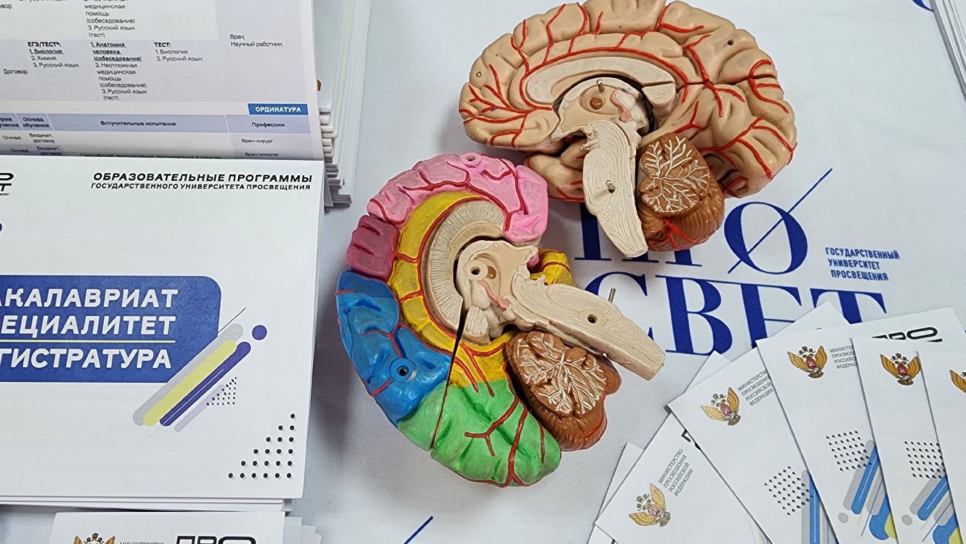 ярмарка вакансий, студенты, молодежная ярмарка вакансий, Ногинск, Богородский городской округ,