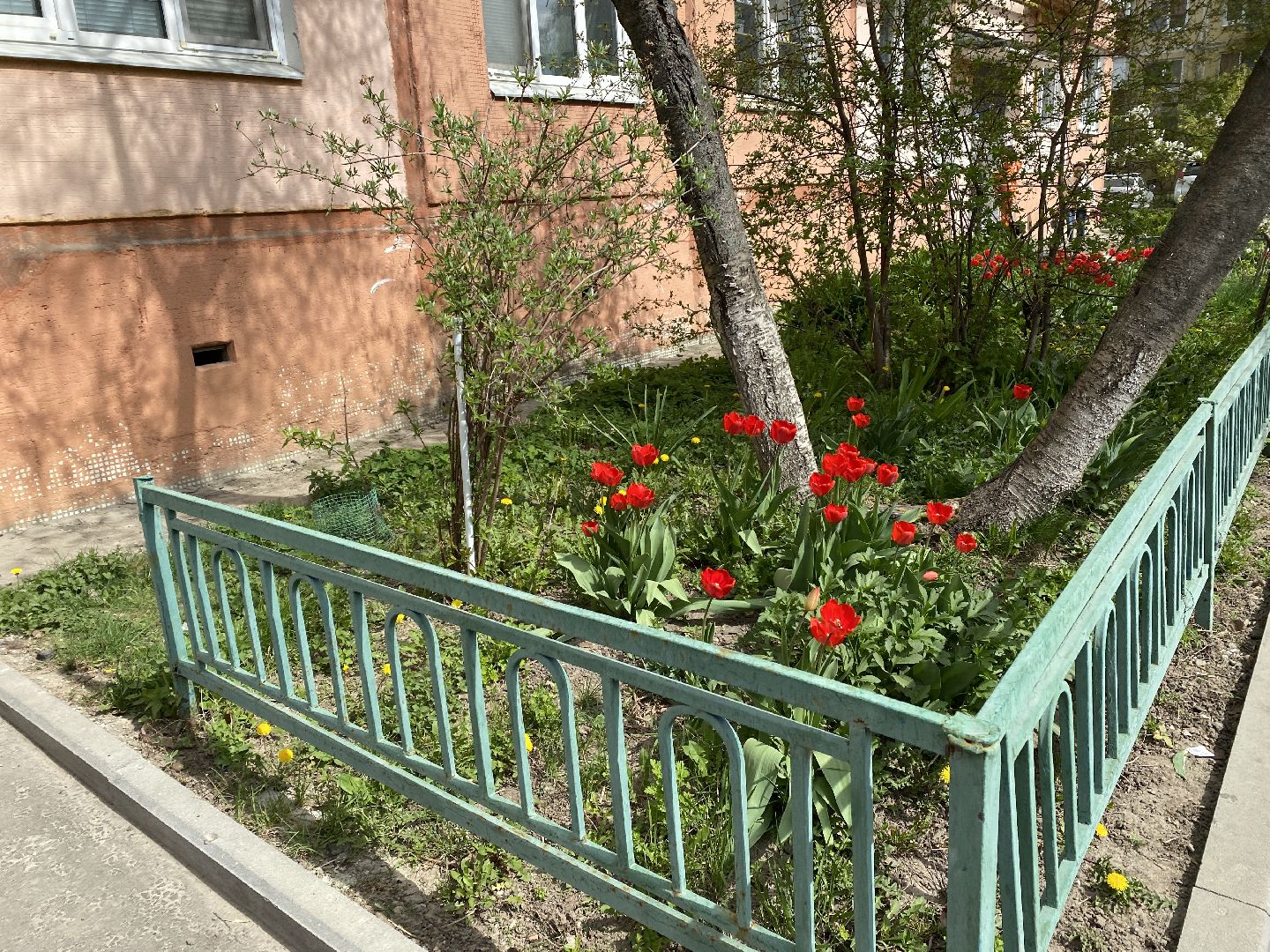 Чехов, благоустройство, жители, цветы, подъезд