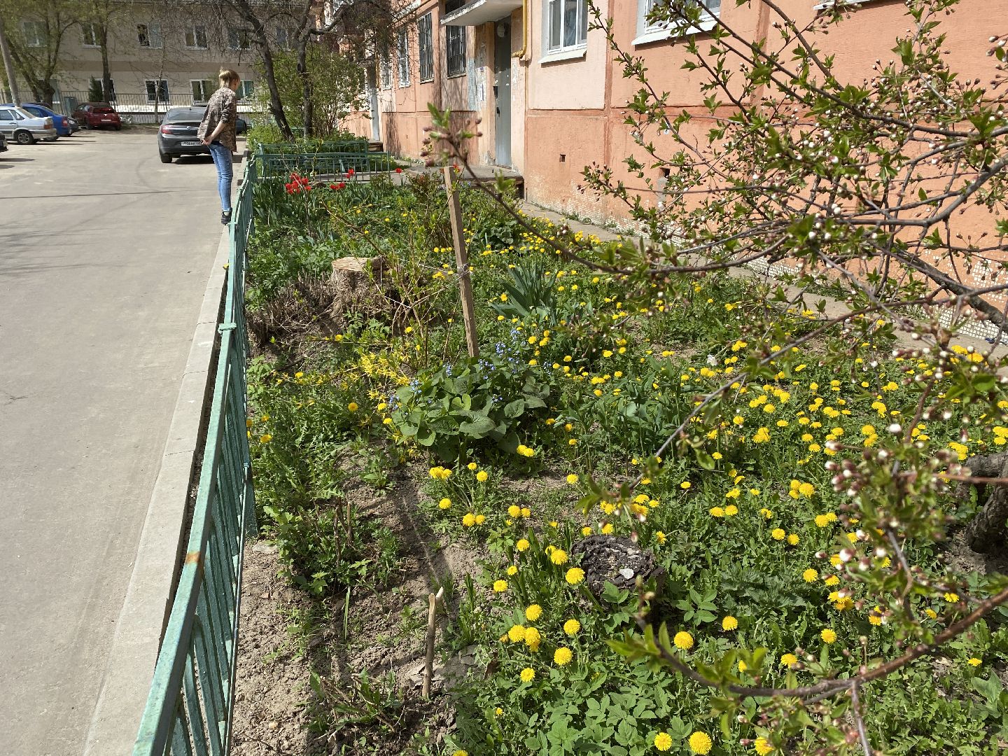 Чехов, благоустройство, жители, цветы, подъезд