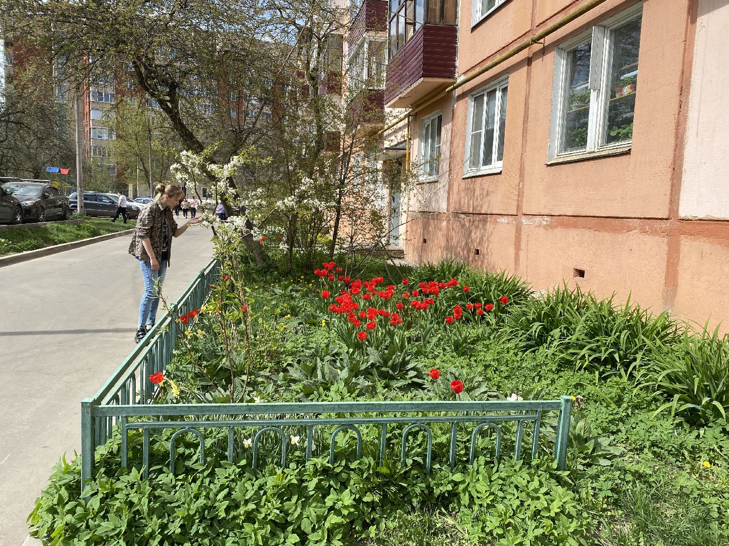 Чехов, благоустройство, жители, цветы, подъезд