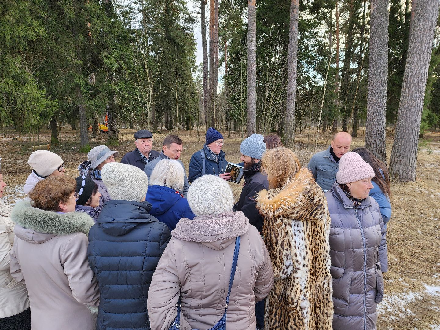 красноармейск, городской округ пушкинский, банный лес, лесопарк, благоустройство,
