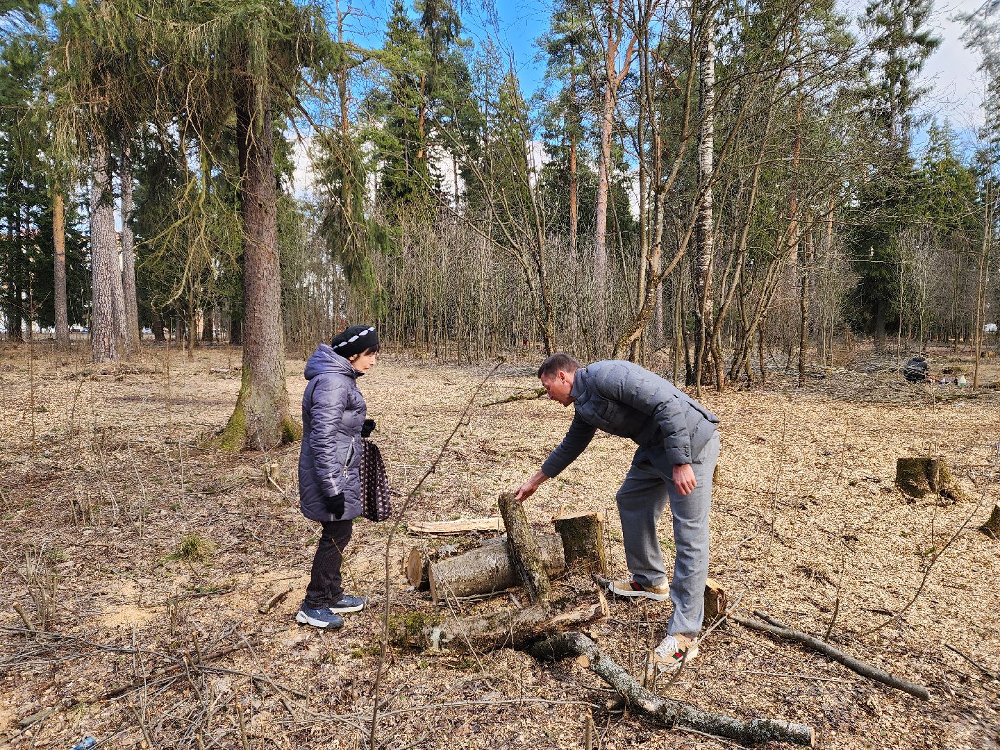 красноармейск, городской округ пушкинский, банный лес, лесопарк, благоустройство,