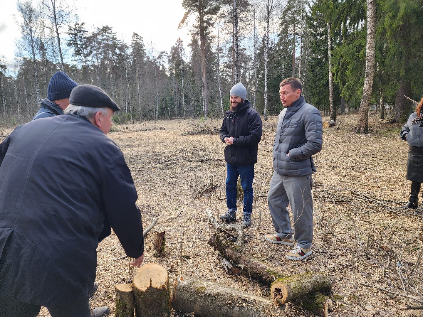 красноармейск, городской округ пушкинский, банный лес, лесопарк, благоустройство,