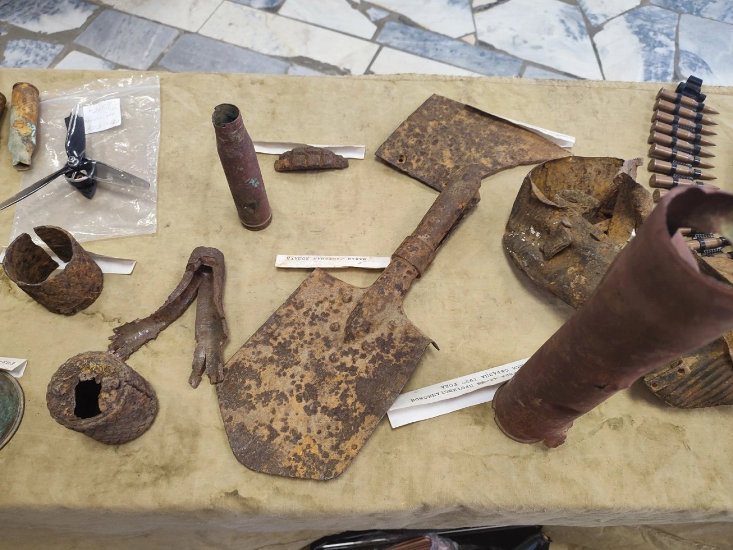 образование, история, наука, дети, школа, домодедово, повадино, подмосковье,