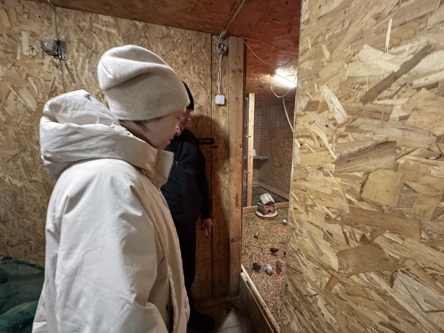 Экзотик ферма, Сурок байбак проснулся, Сурок в Одинцово,