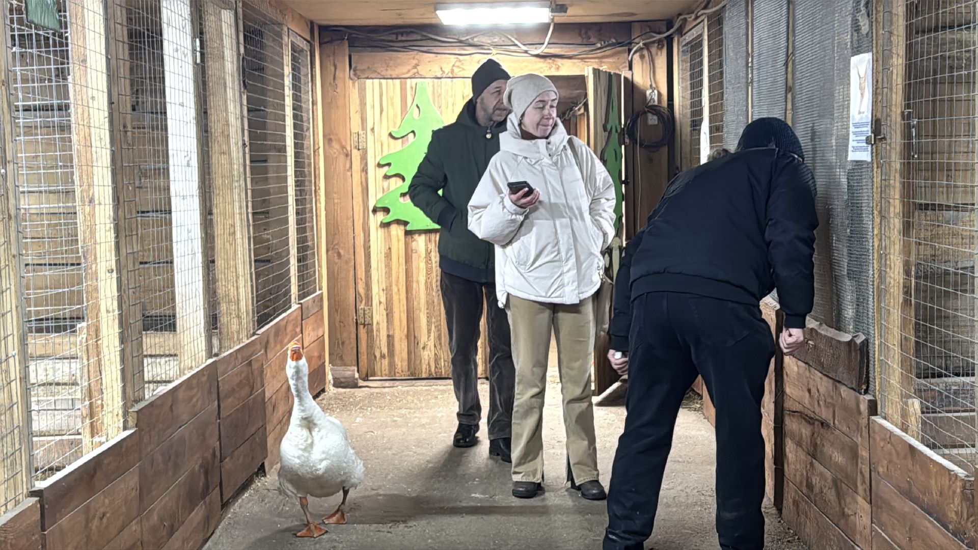 Экзотик ферма, Сурок байбак проснулся, Сурок в Одинцово,