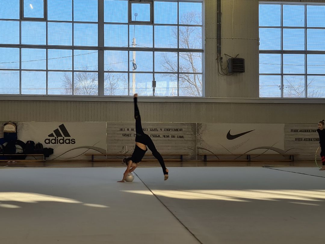 детский спорт, спорт, художественная гимнастика, дети, ЦФО, Щёлково