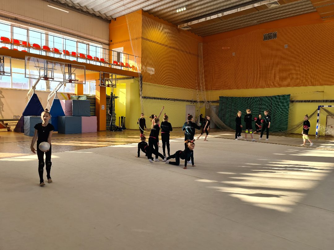 детский спорт, спорт, художественная гимнастика, дети, ЦФО, Щёлково