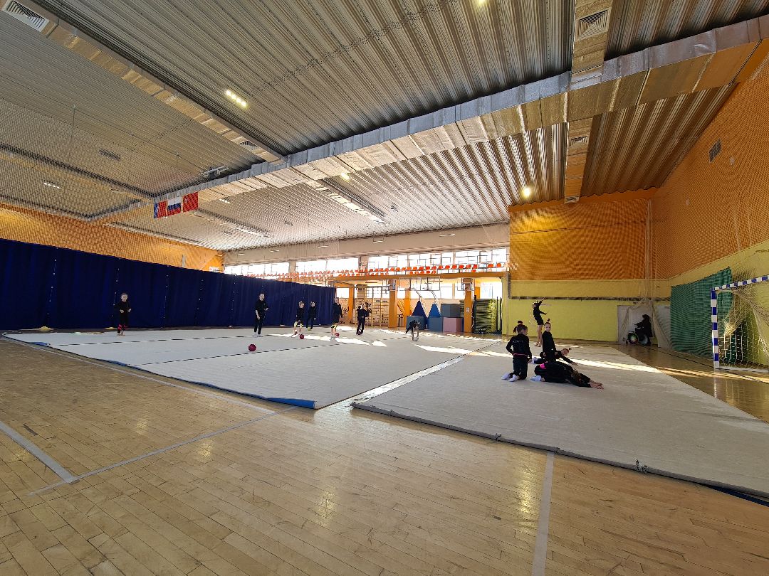 детский спорт, спорт, художественная гимнастика, дети, ЦФО, Щёлково