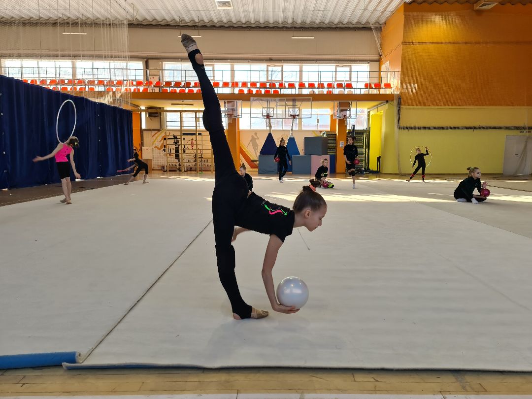 детский спорт, спорт, художественная гимнастика, дети, ЦФО, Щёлково