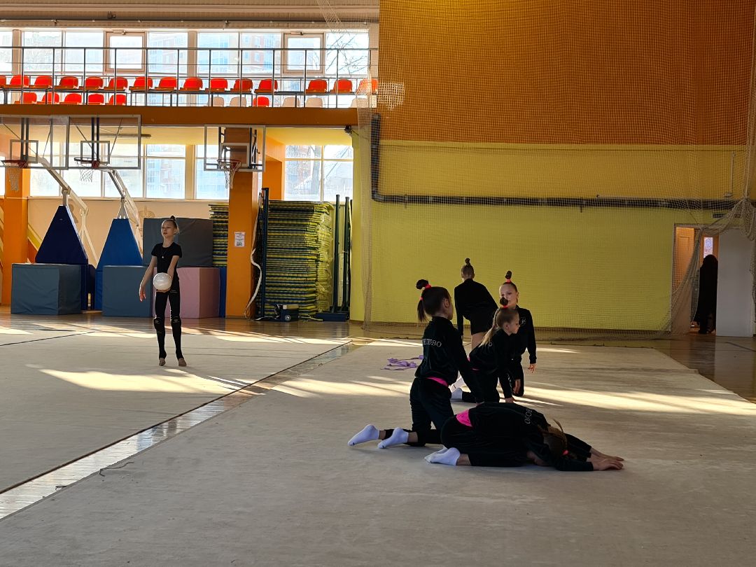 детский спорт, спорт, художественная гимнастика, дети, ЦФО, Щёлково