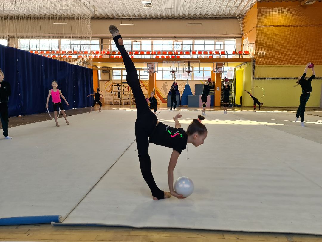 детский спорт, спорт, художественная гимнастика, дети, ЦФО, Щёлково