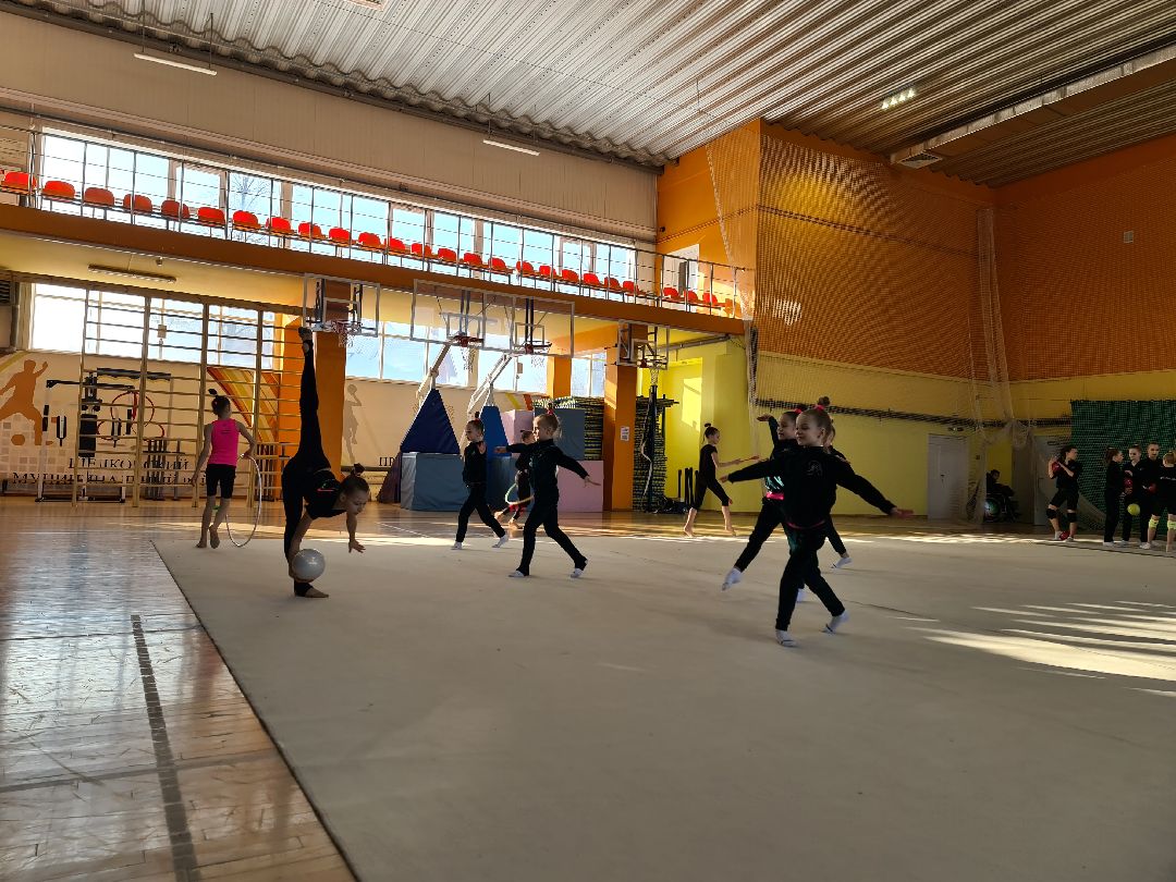 детский спорт, спорт, художественная гимнастика, дети, ЦФО, Щёлково