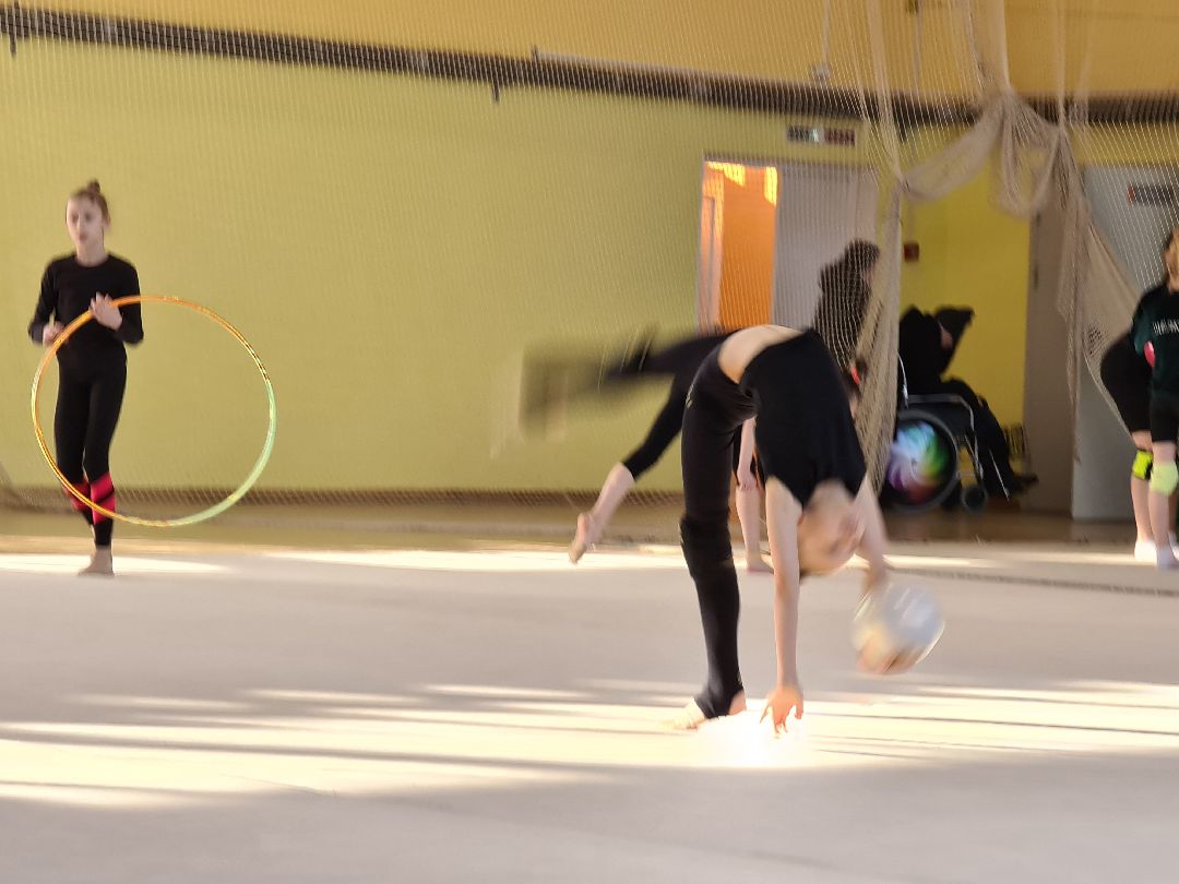 детский спорт, спорт, художественная гимнастика, дети, ЦФО, Щёлково