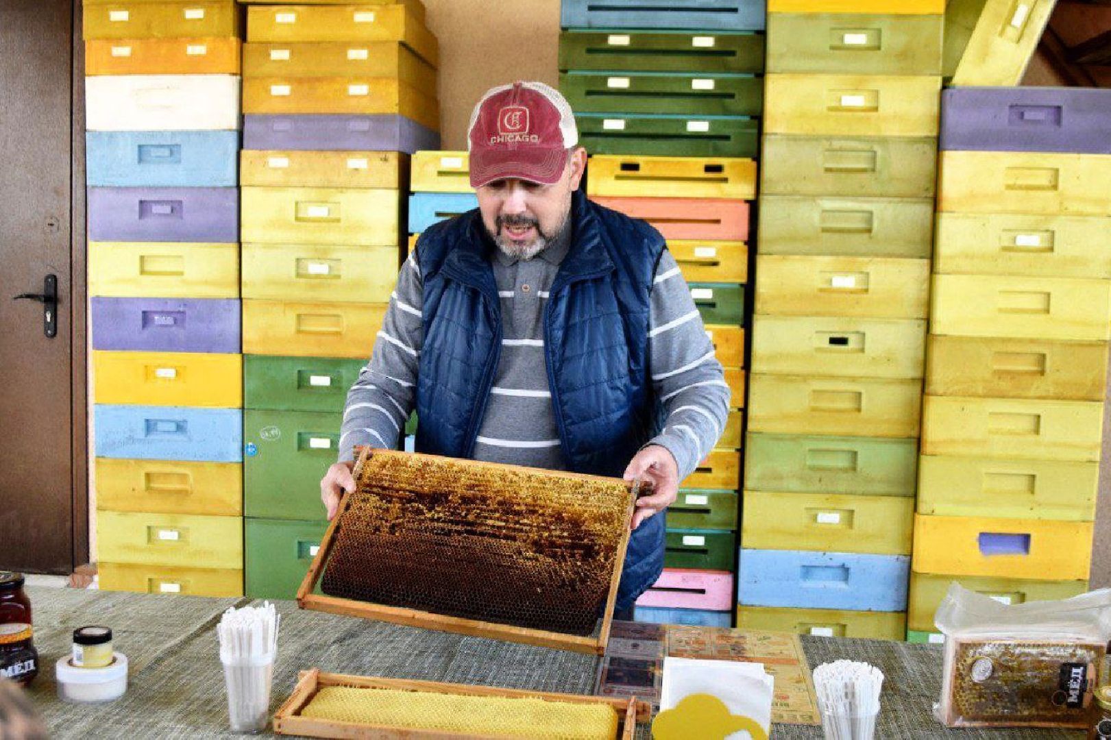 Серпухов, Подмосковье, туризм, пчёлы, мёд, экоферма, экотуризм