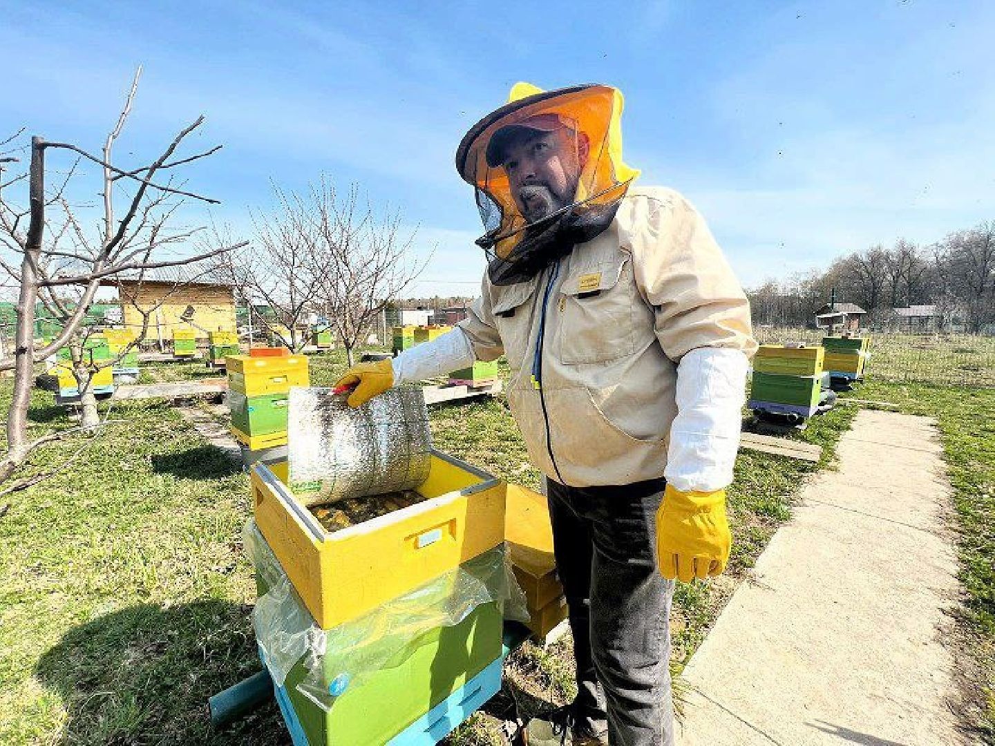 Серпухов, Подмосковье, туризм, пчёлы, мёд, экоферма, экотуризм