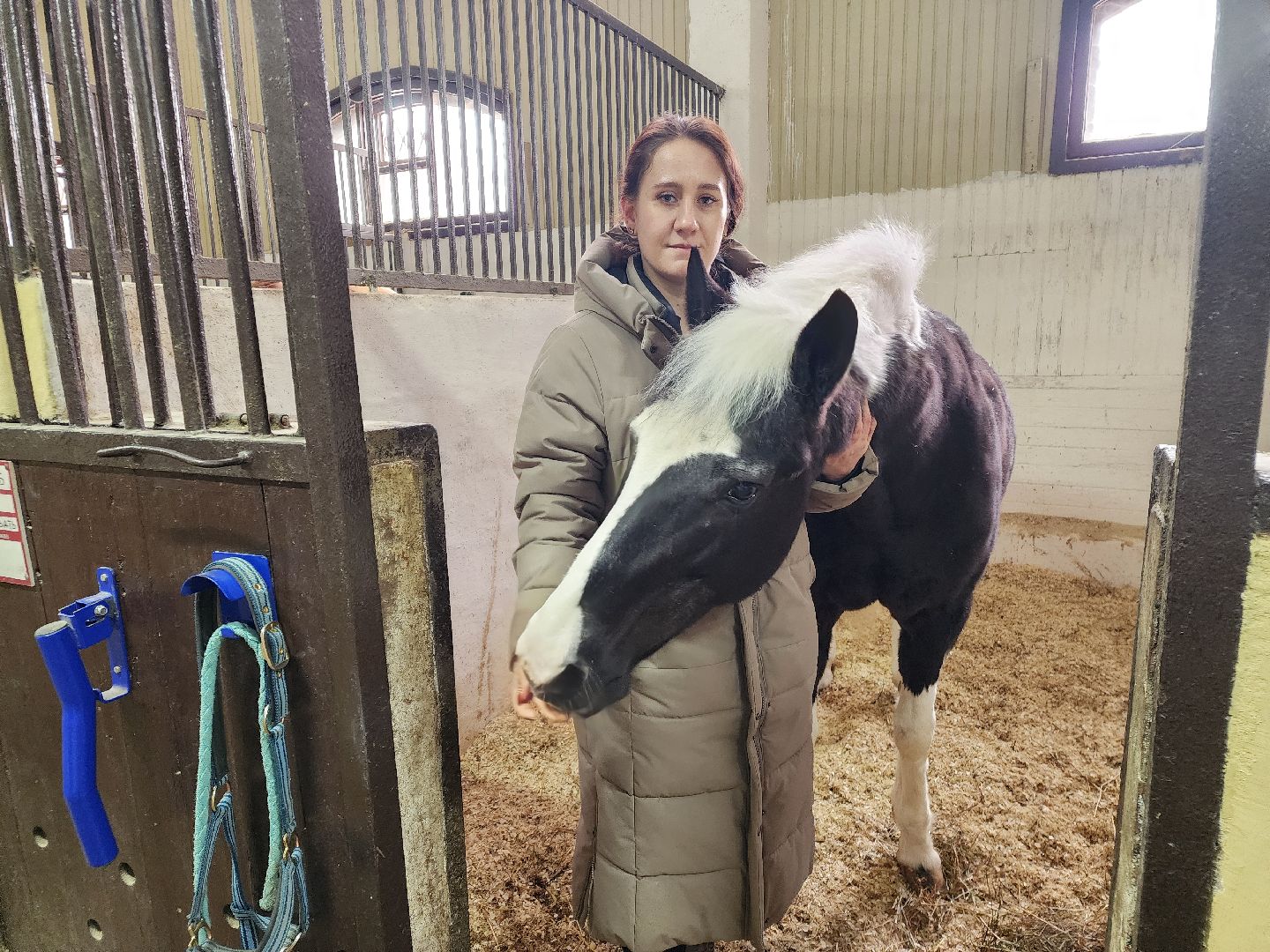 подольск, фаворит, Конноспортивный клуб,