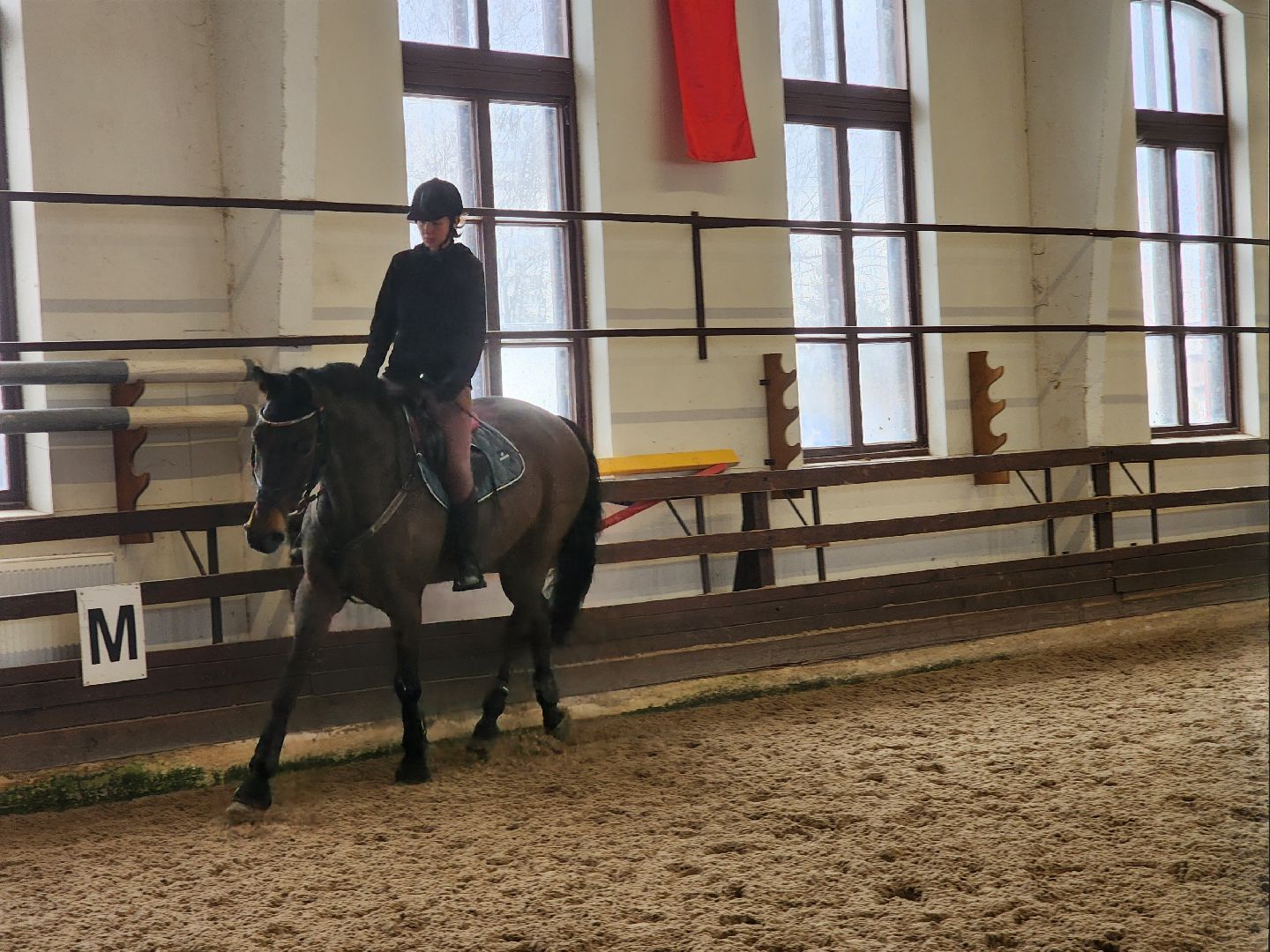 подольск, фаворит, Конноспортивный клуб,