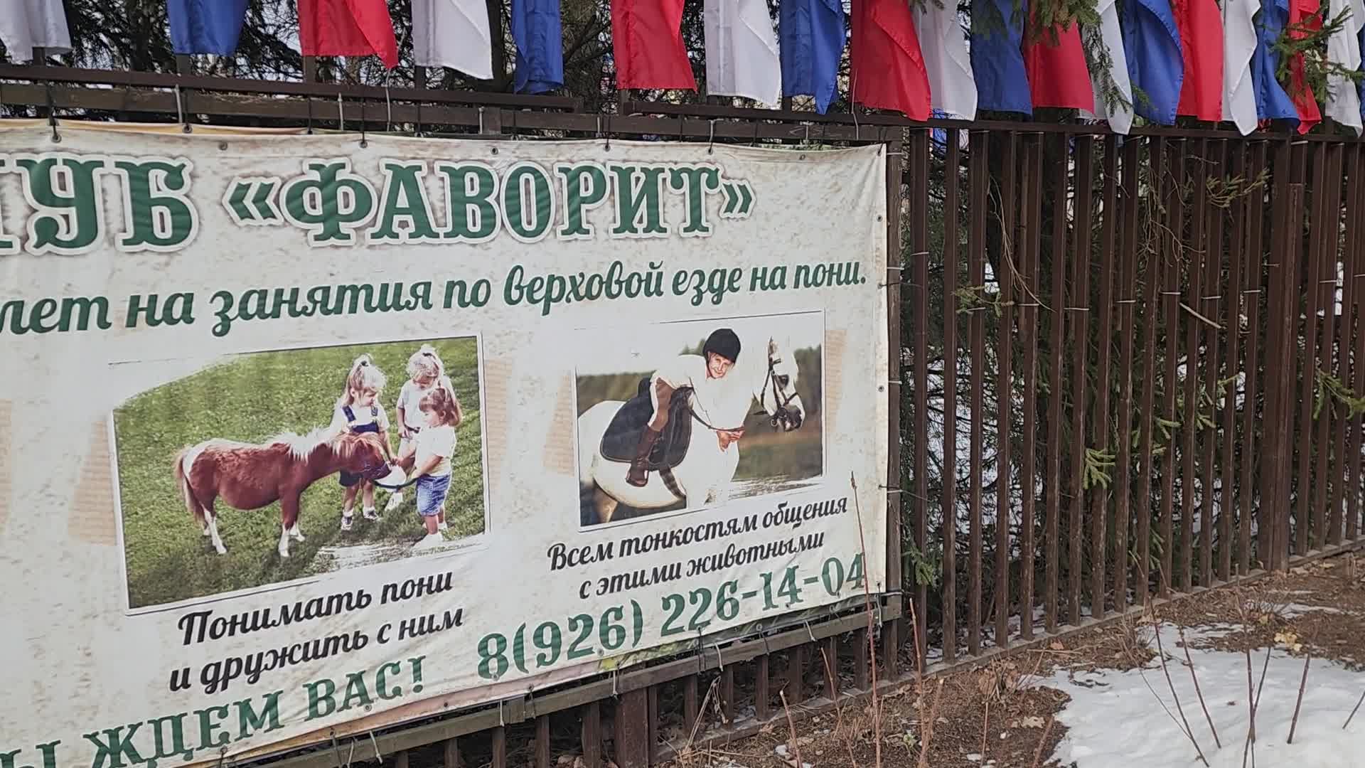 /mediabank_mount//65217/68d881ab4b975bf5fe00b2c2337ac684.jpg