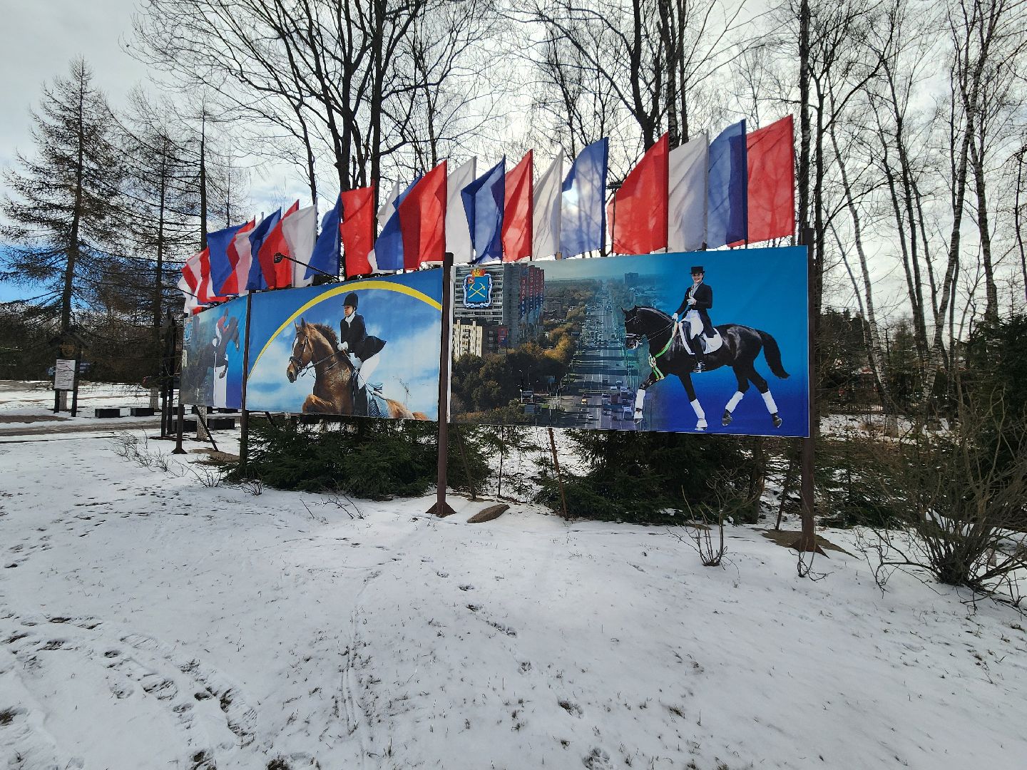 подольск, фаворит, Конноспортивный клуб,