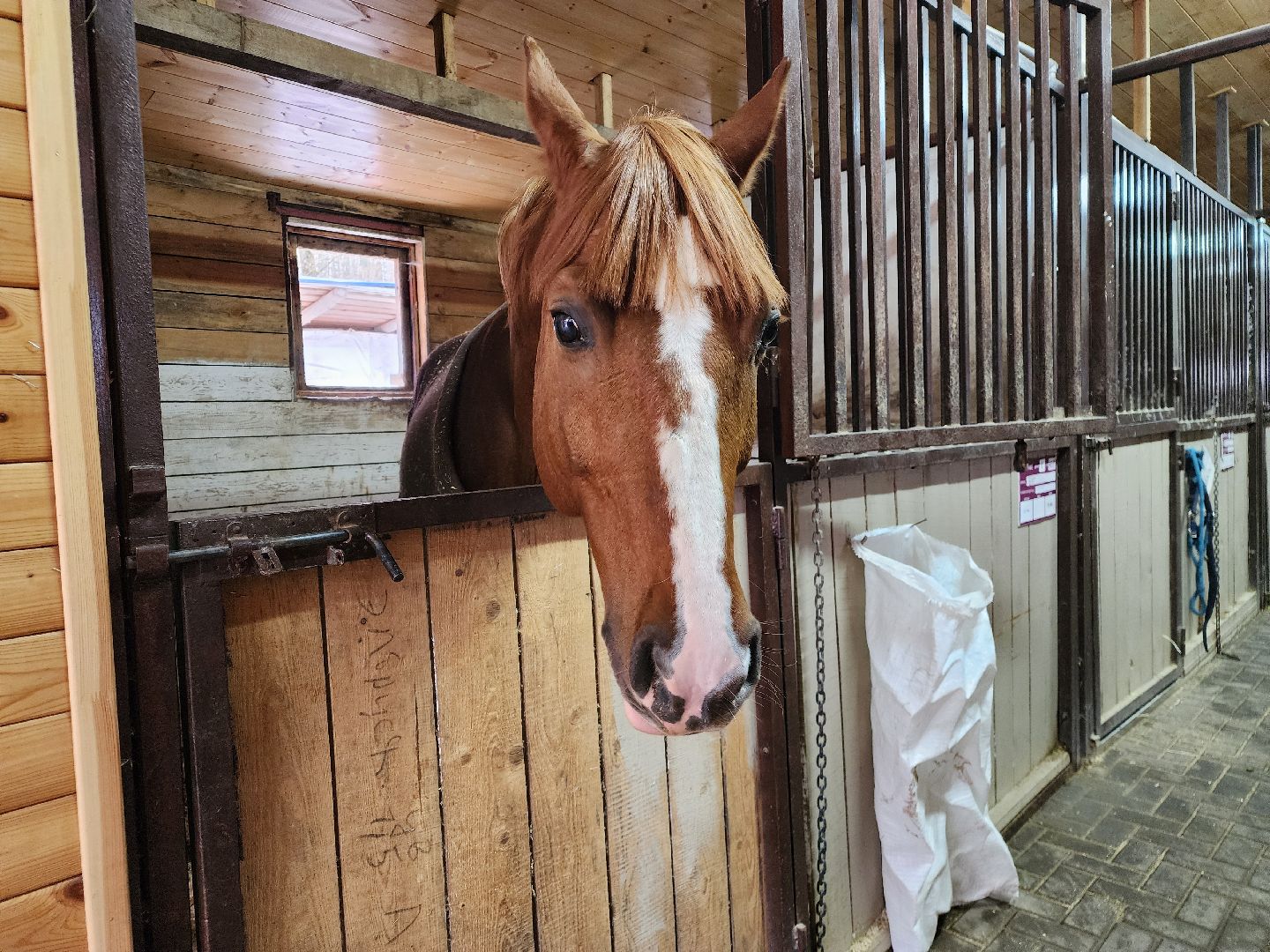 подольск, фаворит, Конноспортивный клуб,
