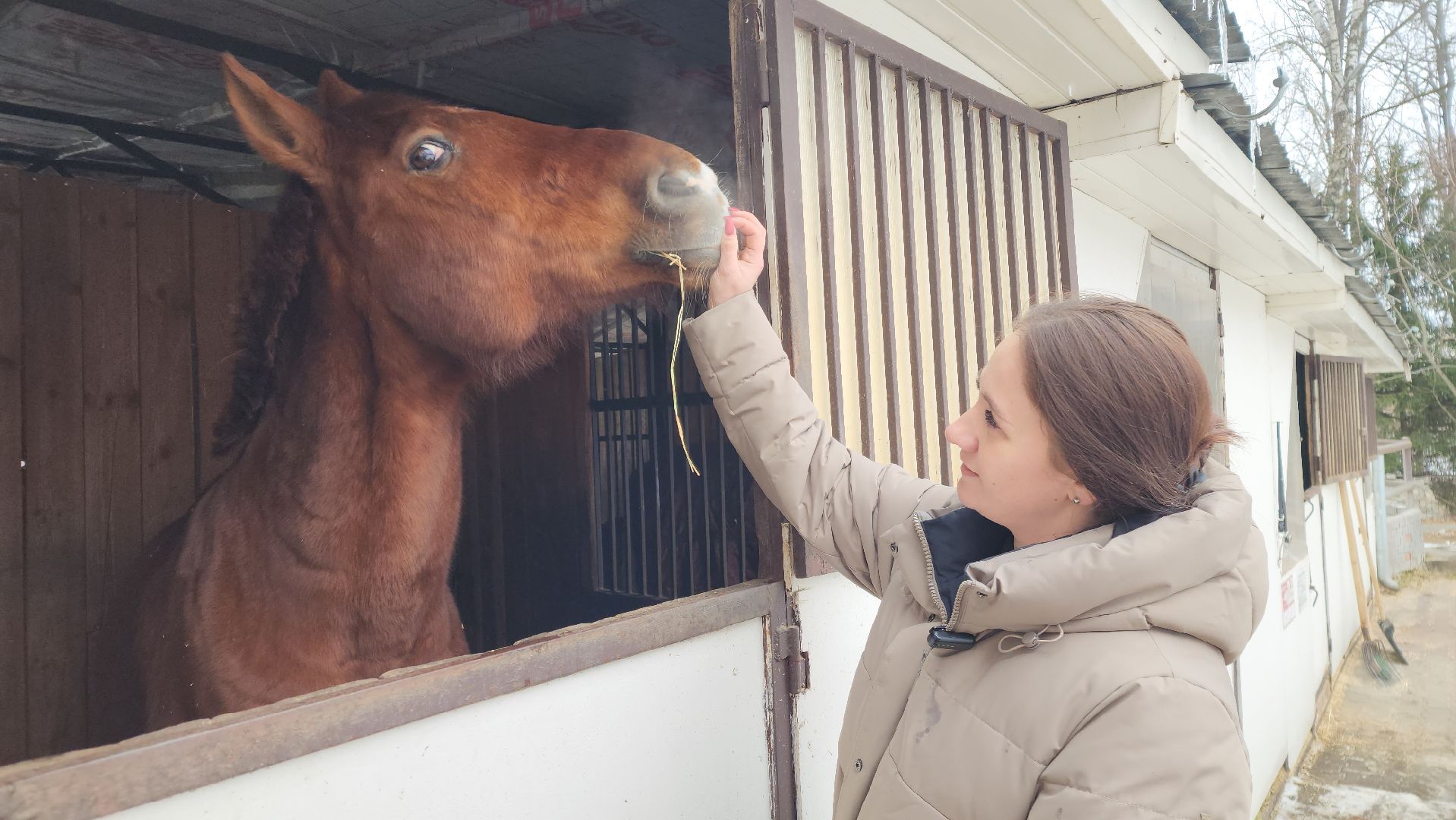 подольск, фаворит, Конноспортивный клуб,