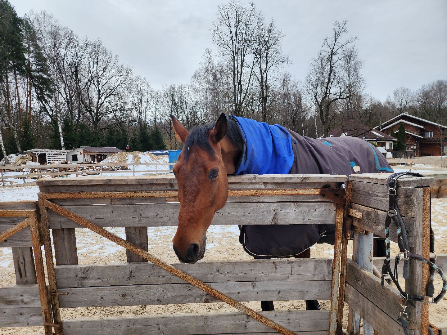 подольск, фаворит, Конноспортивный клуб,